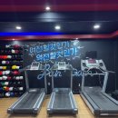 김일권 챔프복싱 이미지
