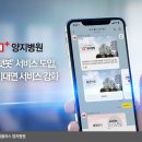 양지-19 이미지
