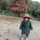 가래골농장 이미지