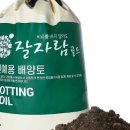 자람주머니 이미지