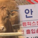 통일한우농장 네이버블로그