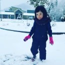 시애틀민박 이미지