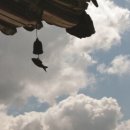 동양제모 이미지