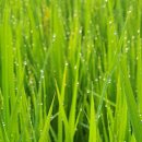 별동산달빛아래 이미지