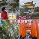 상업용 82 | 일본 오사카 -> 교토 당일 버스투어 내돈내산 후기