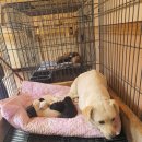 옥계2공단로2-21 이미지