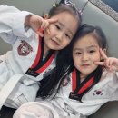 제일경희태권도 이미지