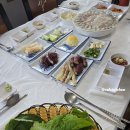 장항동횟집 | 경남 남해 여행지 바닷가에서 즐긴 남해횟집 장항동횟집 생선회 한 상