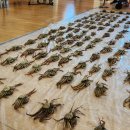 경주수산유통 이미지