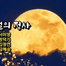 서미영 카카오 검색결과