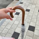 충스키친 이미지