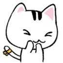 엄정형외과의원 이미지