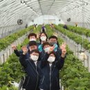 산돌팜 네이버블로그