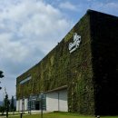 영성횟집 | 부산현대미술관 힐마 아프 클린트 전시 관람기