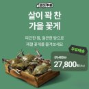 이마트 양재점 고래잇페스타 톱밥꽃게 2kg 내돈내산 구입후기