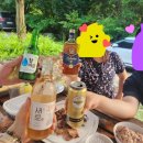 횡성군 산림조합 | 횡성 자연휴양림으로 2024 여름 가족여행 다녀온 후기 (feat. 한우파티)