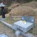 곰식자재도매마트