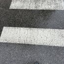 새신푸드