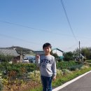 영중유치원