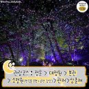 가야금(야간) 네이버블로그