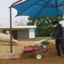 탄천초교병설유치원 이미지