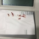 토곡동물병원 이미지