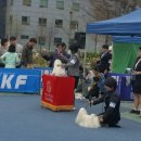 중앙미용학원 이미지