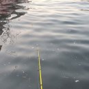 큰맘할매순대국춘장대점 이미지