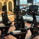 디올핏 피트니스 이미지