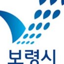 올리브영보령
