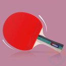 어린이 탁구(초등) 이미지