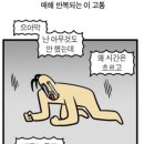 빽다방서산터미널점
