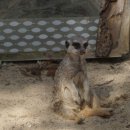 삼정투어 이미지