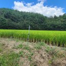 박달3리 이미지