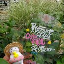 예쁜글씨캘리그라피 이미지