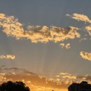 (주) 티어나인 | [호주 워홀] D+879 사우스퍼스 맛집 챠오이탈리아 🇮🇹