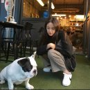 안녕, 펫 이미지