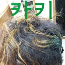 박가위헤어 이미지