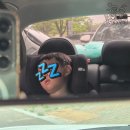 된밭공원 바닥분수 | 계곡부터 바닥분수까지 7시간을 불태운, 육진대와 함께한 상암 평화의공원 소모임 이야기