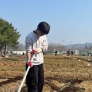 다산솔농장 이미지