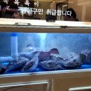정가네 찜하는포차 이미지
