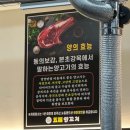 대구 수성구 양꼬치 범어동 오복양꼬치 고기 맛집