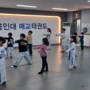 용인대매교태권도장