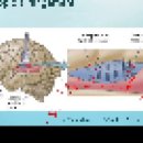 neuroscience 27_Primary auditory cortex, Auditory pathway 이미지