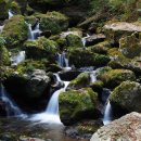 숨은계곡 이미지