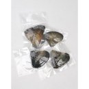 천연DIY체험 이미지