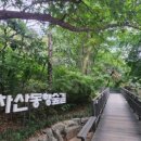 아차산 동행숲길 | 걷기 편한 아차산동행숲길