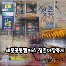 청춘야끼 | 세종공동캠퍼스 청춘야장축제/6월 4일 오늘 오픈, 다양한 푸드트럭, 생맥주 3천원!