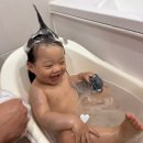 호동반점 | 엘리베어 올인워시 성분 최고 무향 아기바디워시