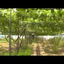 운수동농장 이미지